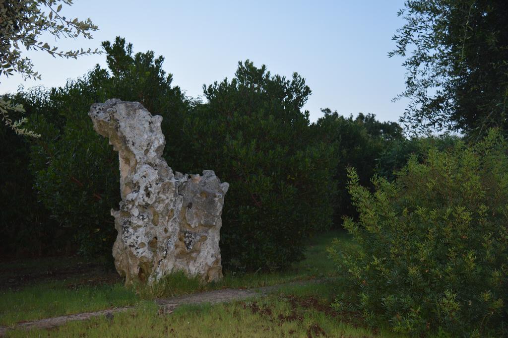 Masseria Paglieroni مارتينا فرانكا المظهر الخارجي الصورة