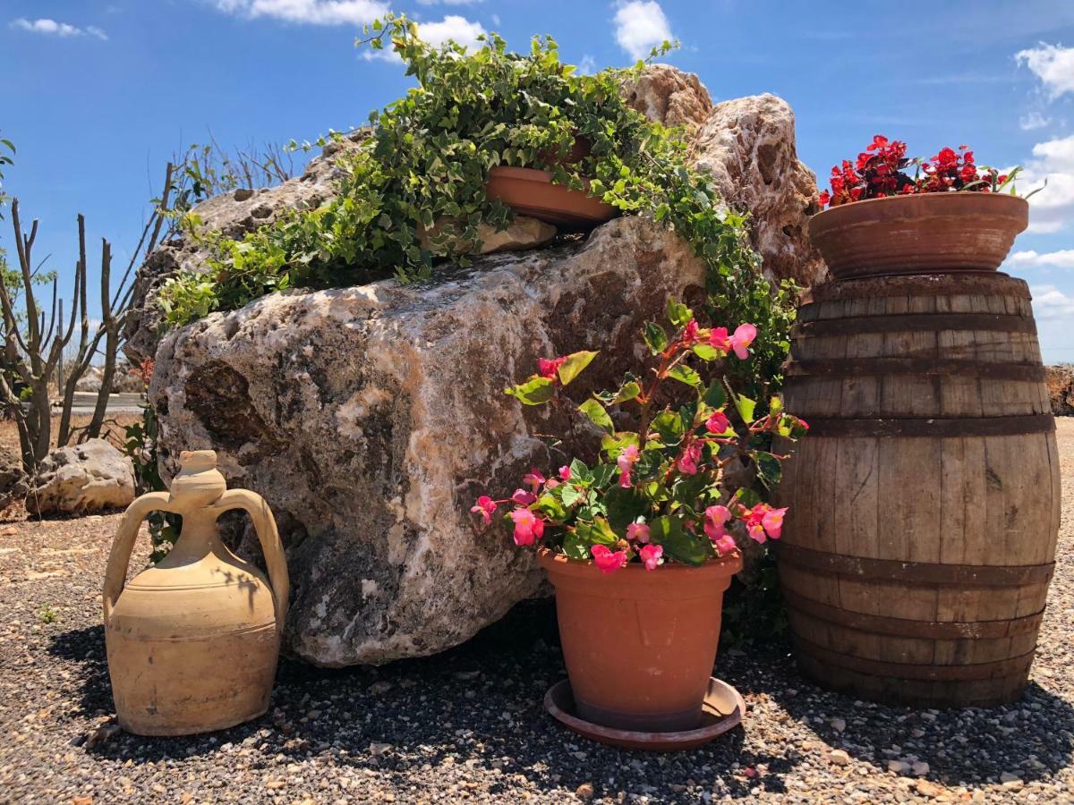 Masseria Paglieroni مارتينا فرانكا المظهر الخارجي الصورة